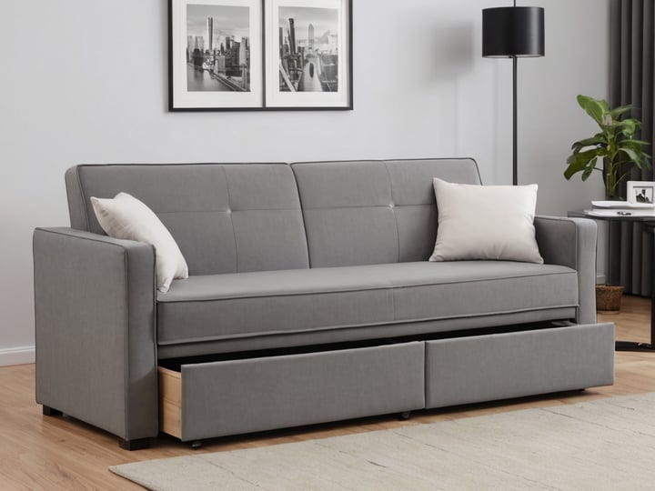 Sleeper-Storage-Sofas-3