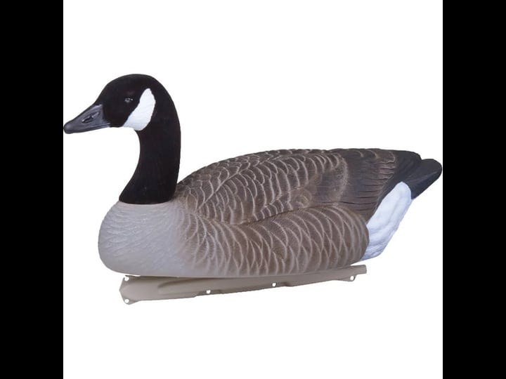 flambeau-water-pack-canada-goose-decoy-4-pk-1