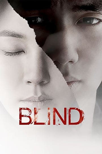 blind-4571484-1