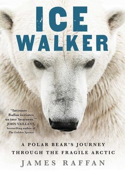 ice-walker-297805-1