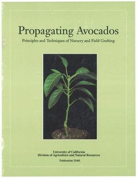 propagating-avocados-principles-and-techniques-of-nursery-and-field-grafting-797472-1