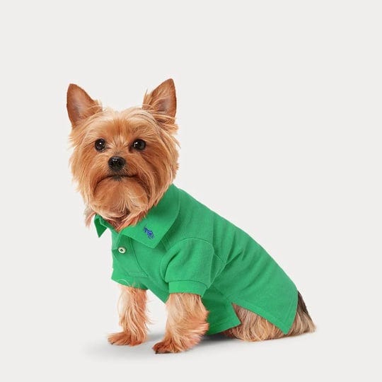 ralph-lauren-cotton-mesh-dog-polo-shirt-size-m-in-green-1