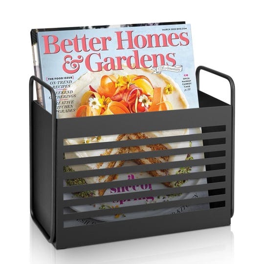 aisung-magazine-rack-magazine-file-holder-mail-organizer-folder-organizer-bin-for-magazines-books-ne-1