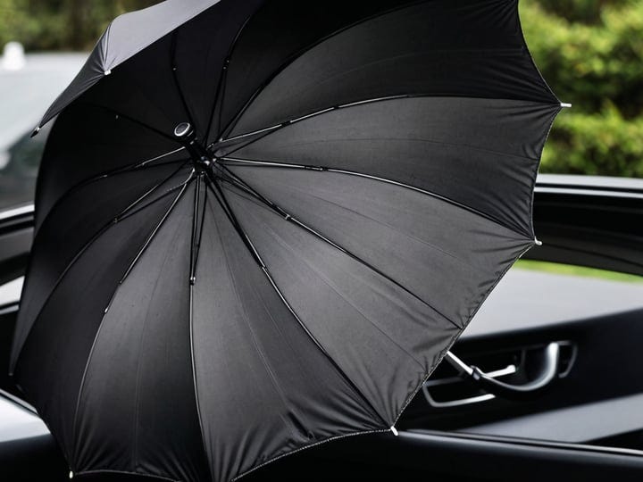 Car-Umbrella-5