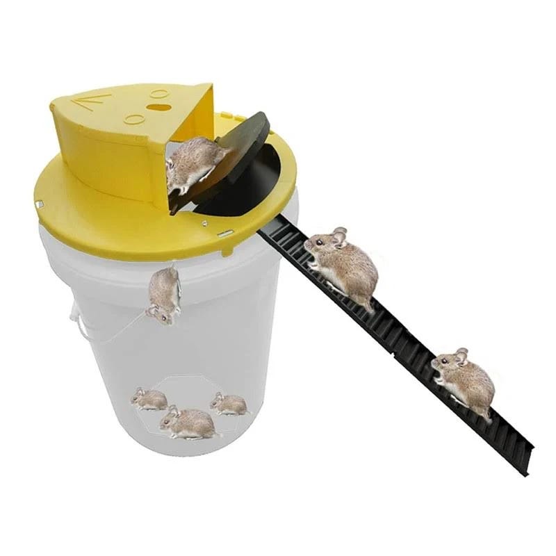 Safe and Easy-to-Use Bucket Mouse Trap | Image