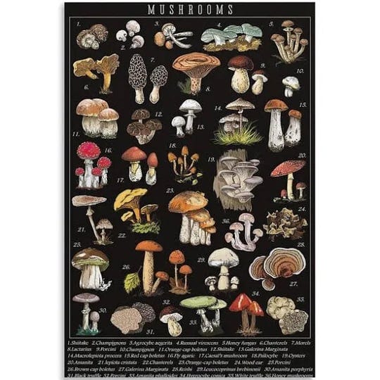 cypgtbck-vintage-mushroom-poster-fungus-poster-decorative-painting-canvas-wall-art-living-room-poste-1