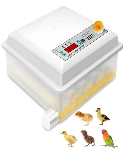 fahkns-16-egg-incubator-incubadora-de-huevos-for-chicken-with-led-candlerautomatic-egg-turning-tempe-1