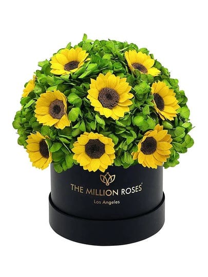 the-million-roses-classic-black-box-of-hydrangeas-and-sunflowers-yellow-1