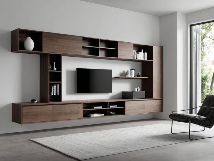 Living-Room-Storage-6