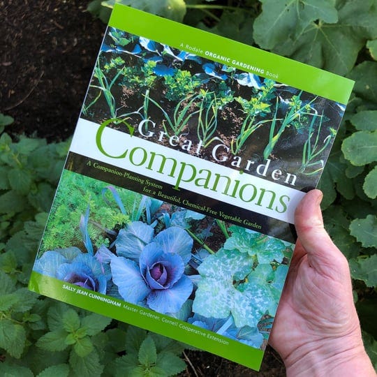 great-garden-companions-a-companion-planting-system-for-a-beautiful-chemical-free-vegetable-garden-b-1