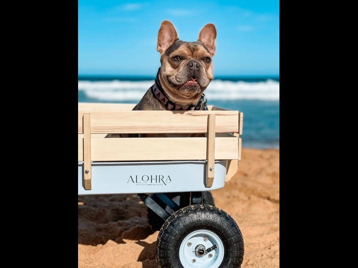 alohra-timber-beach-carts-seabreeze-1