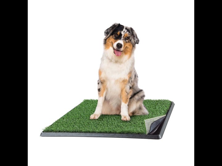 artificial-grass-puppy-pee-pad-dogs-20x25-4-layer-training-potty-pad-with-tray-1