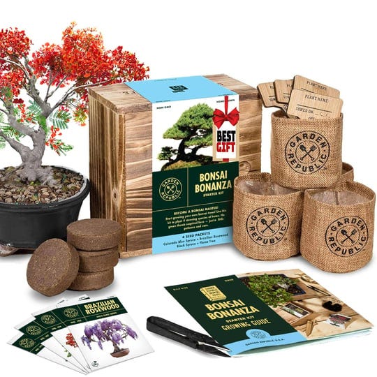 garden-republic-bonsai-tree-seed-starter-kit-mini-bonsai-plant-growing-kit-4-types-of-seeds-potting--1