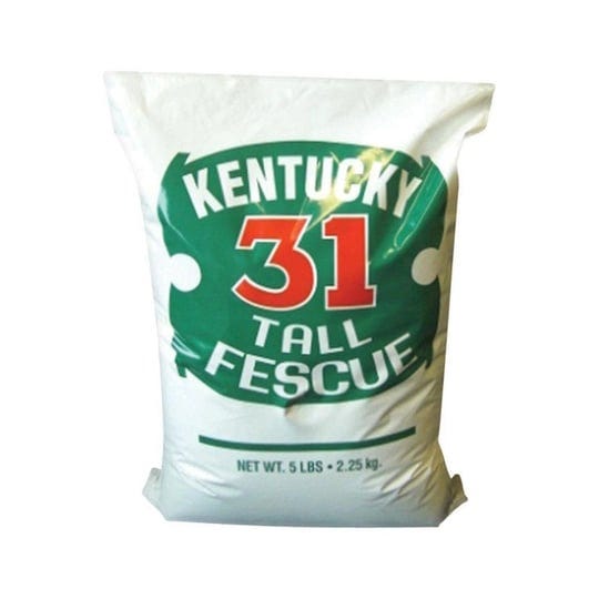 barenbrug-16205-kentucky-31-tall-fescue-grass-seed-5-lbs-1