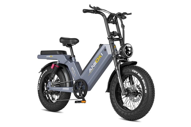 aniioki-aq177-long-range-step-thru-power-bike-60ah-removable-battery1000w-high-speed-brushless-motor-1