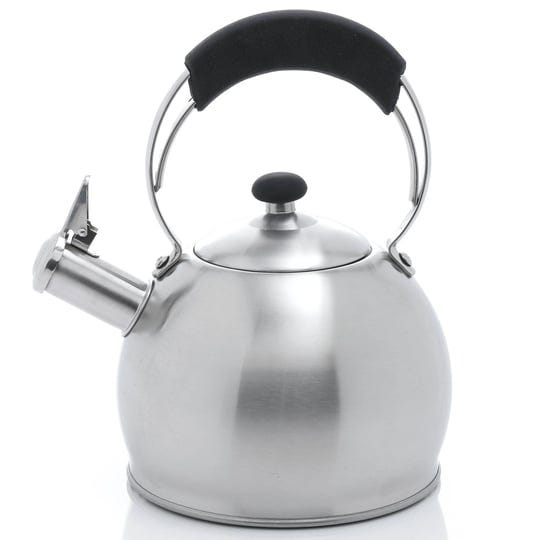 creative-home-galaxy-stainless-steel-tea-kettle-1