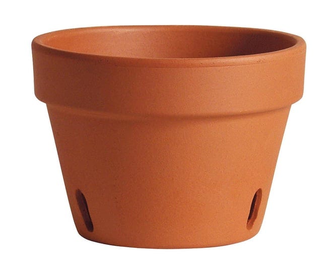 deroma-6-7-in-tc-orchid-pot-1