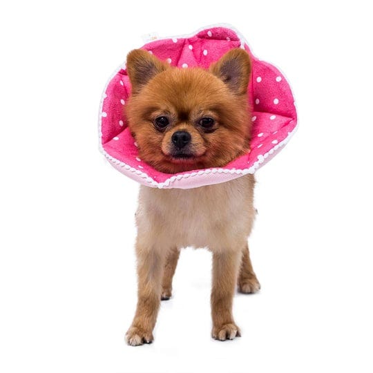 wz-pet-adjustable-dog-cat-conesoft-recovery-cat-cone-collardog-protective-collar-for-cats-and-puppy--1