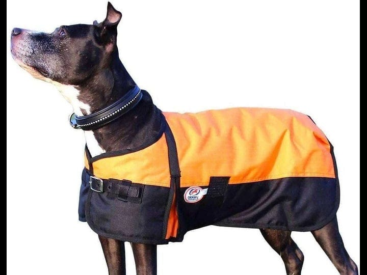 derby-originals-600d-waterproof-dog-coat-orange-black-m-1