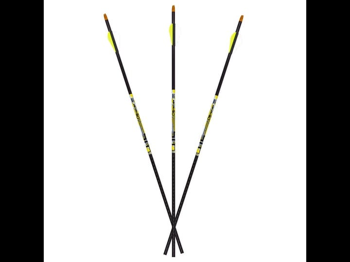 carbon-express-d-stroyer-arrows-500-6-pk-1