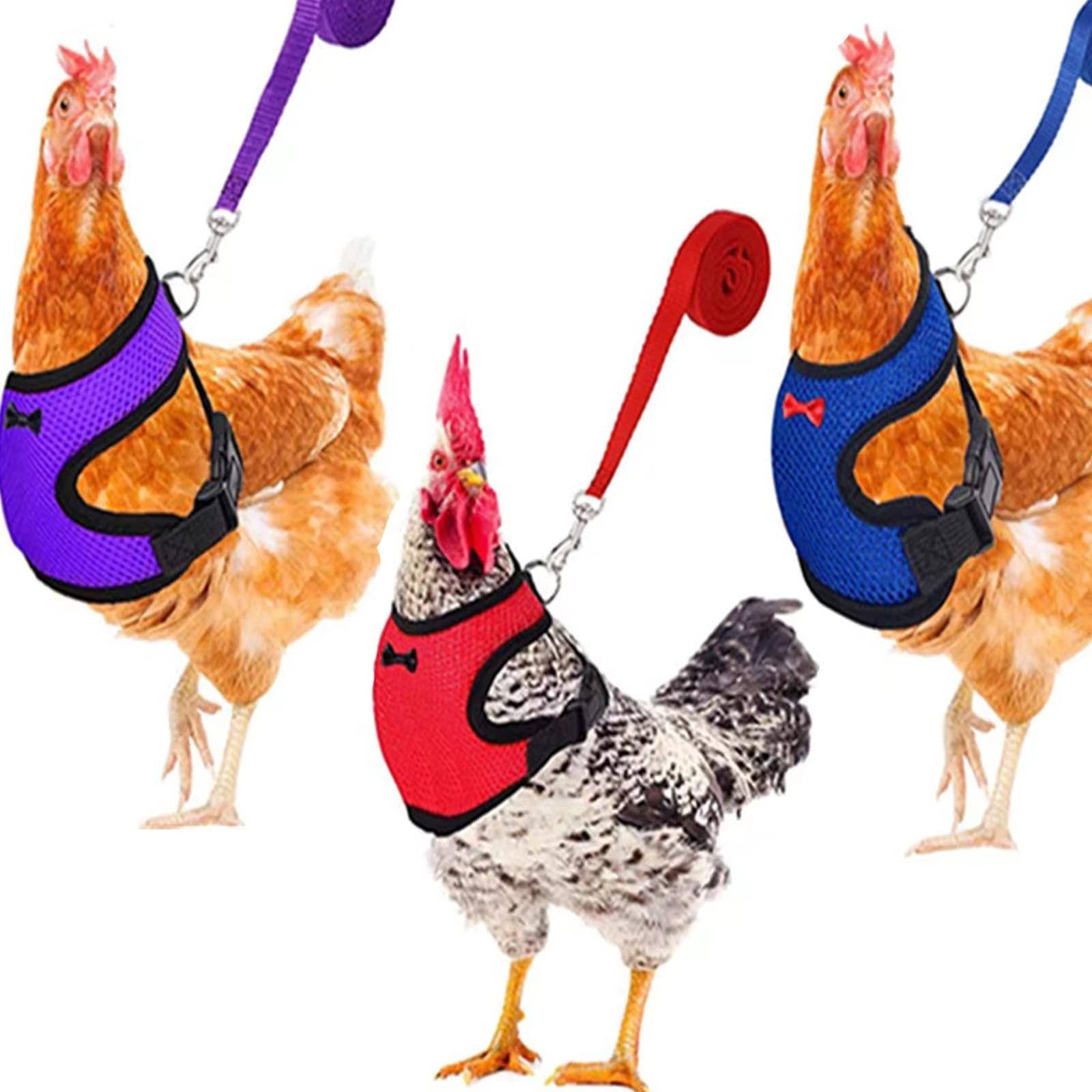 Comfortable Adjustable Chicken Harness with Leash for Ducks, Geese, and Small Pets | Image