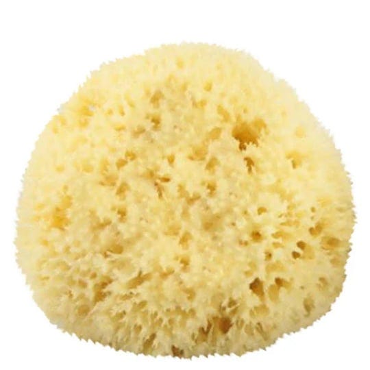 the-sponge-company-bathing-sea-sponge-each-1