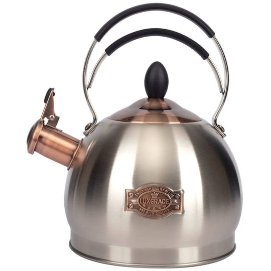 whistling-tea-kettle-stainless-steel-teapot-teakettle-for-stovetop-induction-stove-top-fast-boiling--1