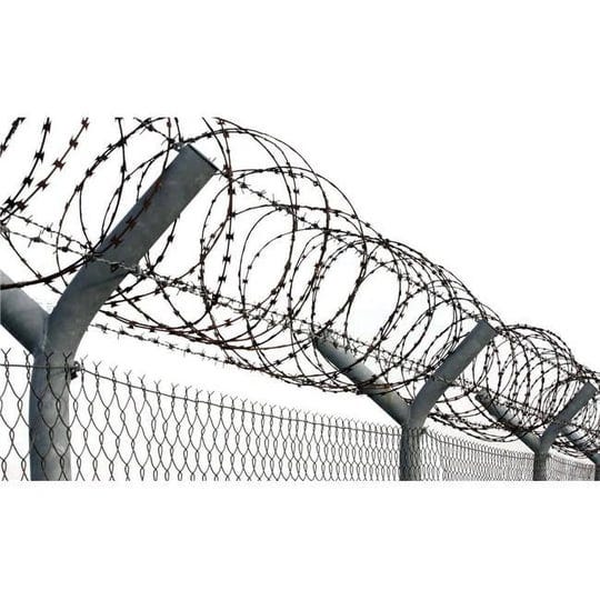 razor-wire-1
