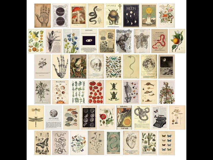 koskimer-50pcs-vintage-wall-collage-kit-aesthetic-pictures-posters-cottagecore-room-decor-for-bedroo-1