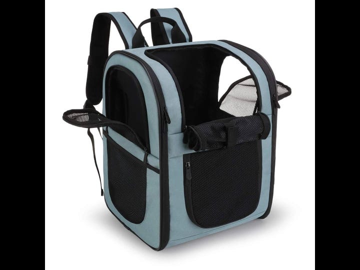 apollo-walker-pet-carrier-backpack-for-small-cats-and-dogs-puppies-two-sided-entry-safety-features-a-1