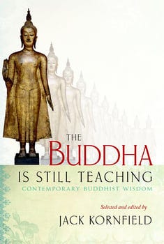 the-buddha-is-still-teaching-2878769-1