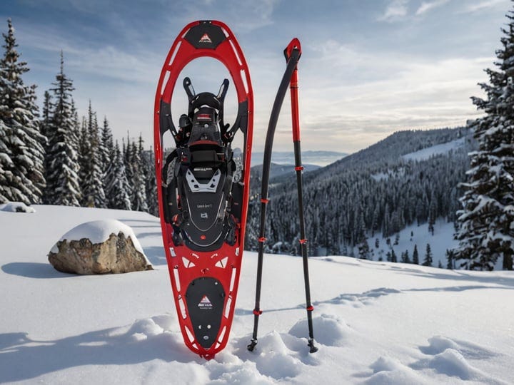 MSR-Evo-Snowshoe-And-Poles-Kit-2