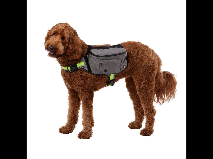 arcadia-trail-packable-and-reflective-dog-backpack-in-green-petsmart-1