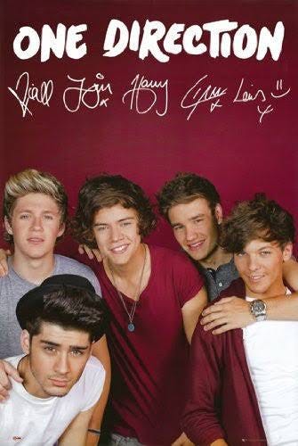 High-Quality One Direction Poster for Wall Display | Image