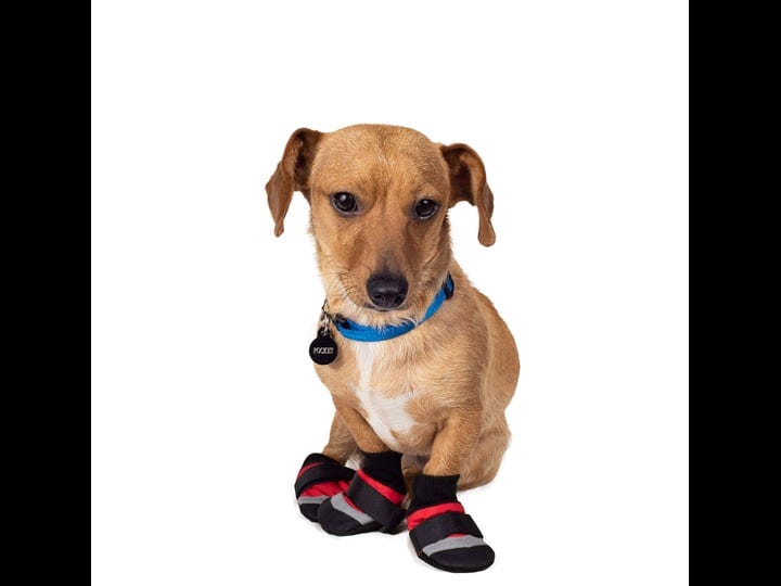 fashion-pet-extreme-all-weather-dog-boots-xxx-small-1