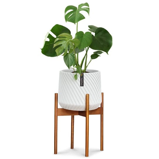 fox-fern-mid-century-modern-12-in-acacia-wood-plant-stand-excluding-pot-1