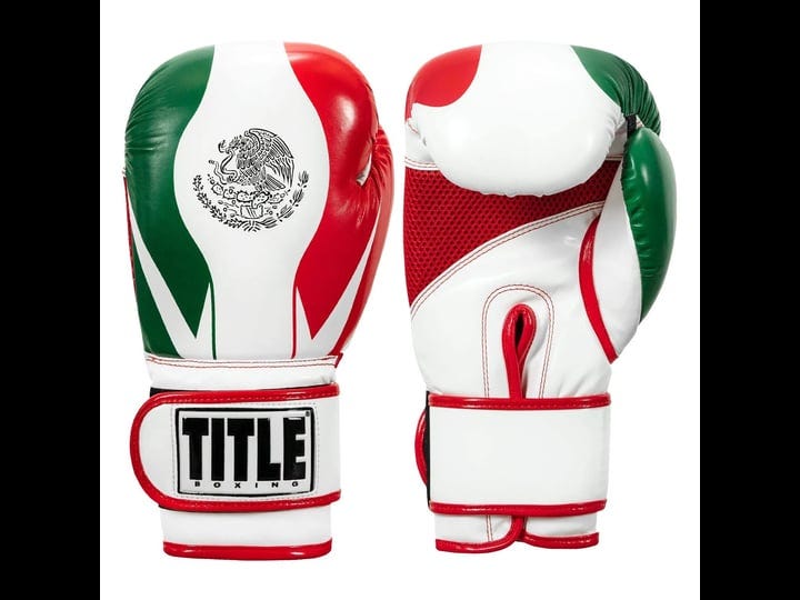 title-boxing-infused-foam-el-combate-mexico-training-gloves-mexico-l-1