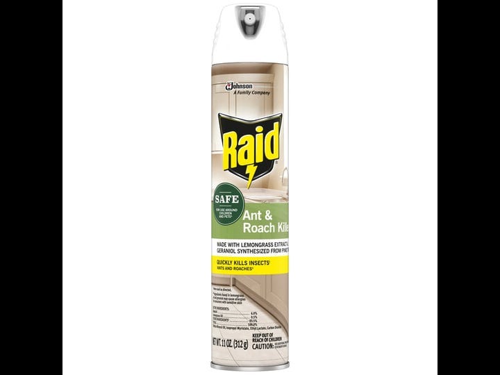 raid-ant-roach-killer-11-oz-1