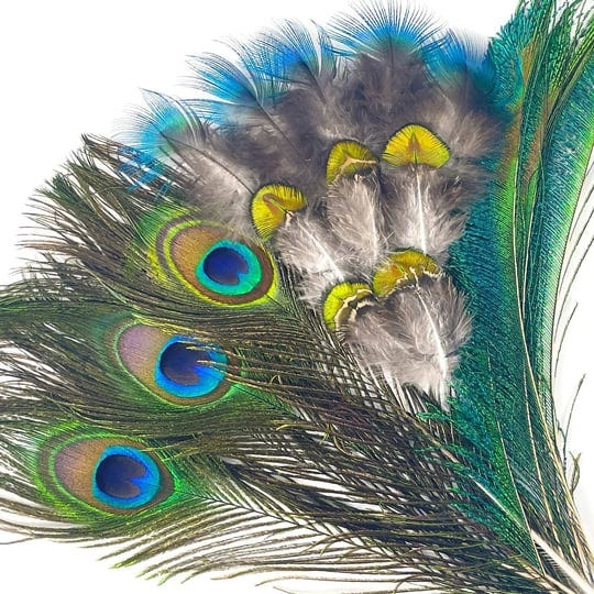 20-pcs-natural-peacock-feathers-bulk-set-peacock-feathers-for-crafts-4-style-1