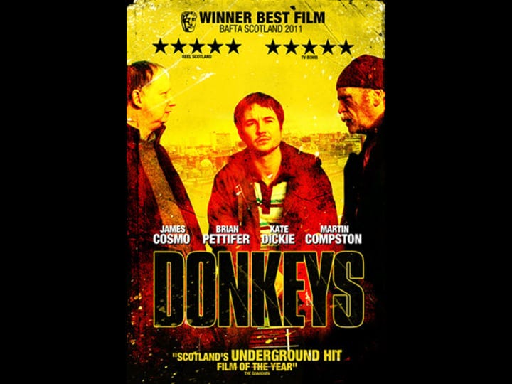 donkeys-4429186-1