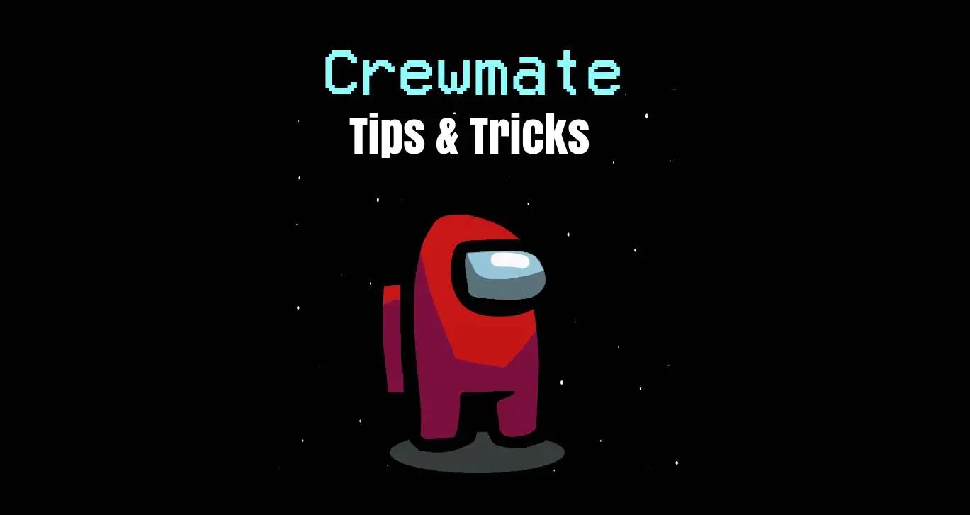 Among Us Crewmate Role Guide - Tips & Tricks