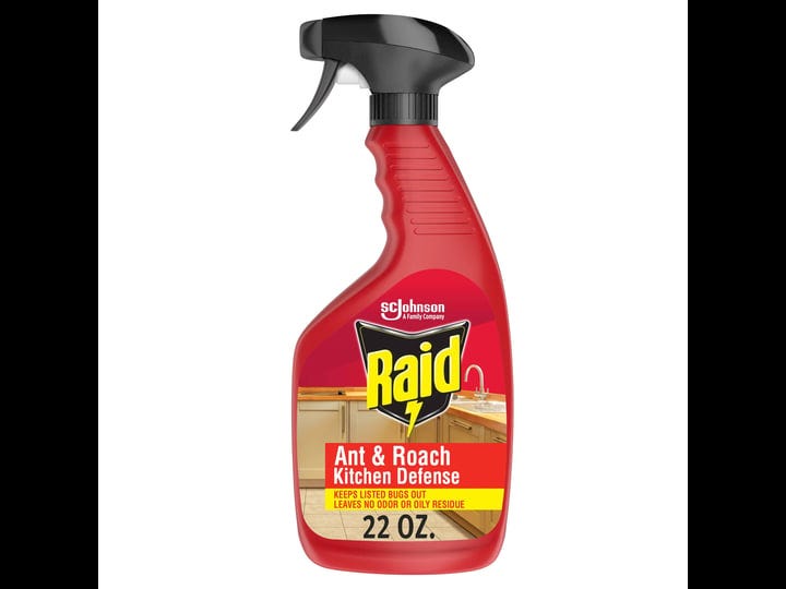 raid-ant-roach-kitchen-defense-22-oz-1