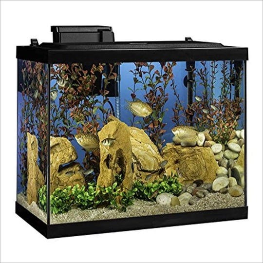 tetra-20-gallon-aquarium-kit-1