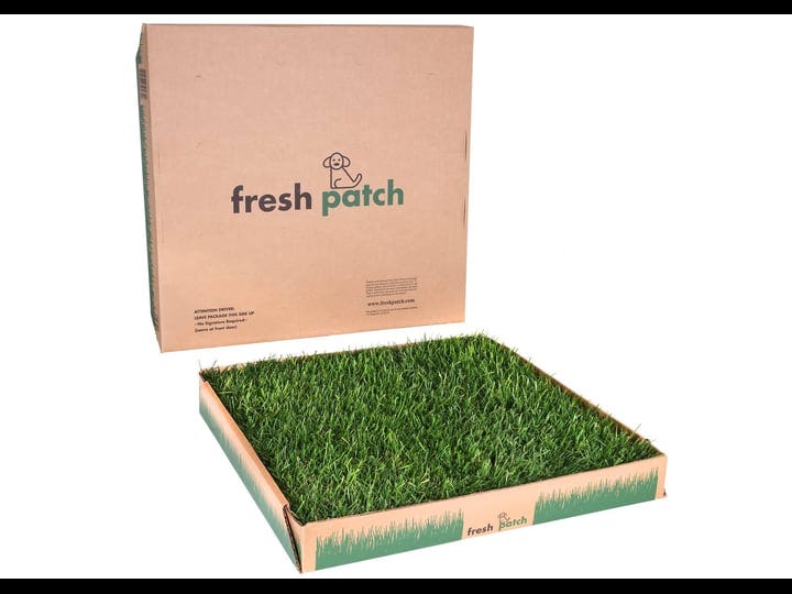 fresh-patch-large-real-grass-pee-and-potty-training-pad-for-dogs-between-15-and-30-pounds-indoor-and-1