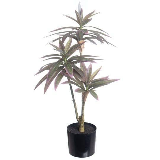 20-potted-dracaena-plant-by-ashland-michaels-1