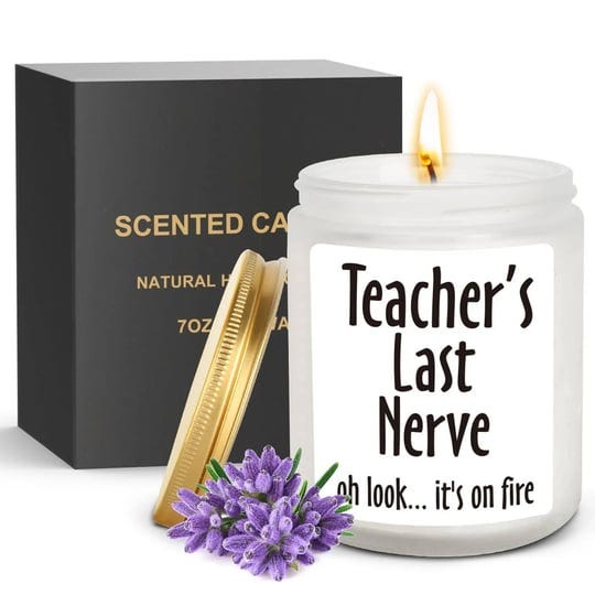 teacher-appreciation-gifts-best-teacher-gifts-for-women-men-funny-teacher-gifts-birthday-christmas-g-1