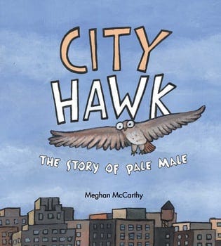 city-hawk-1484472-1