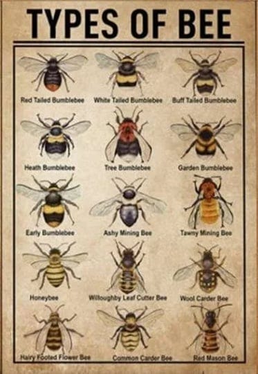 honey-bee-knowledge-bee-type-knowledge-tin-sign-metal-sign-wall-art-1