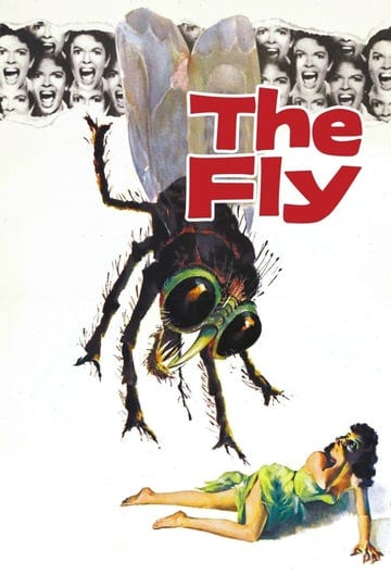 the-fly-912363-1