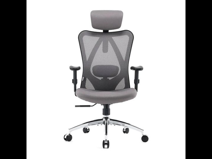 sihoo-m18-classic-office-chair-with-triple-spinal-relief-grey-1